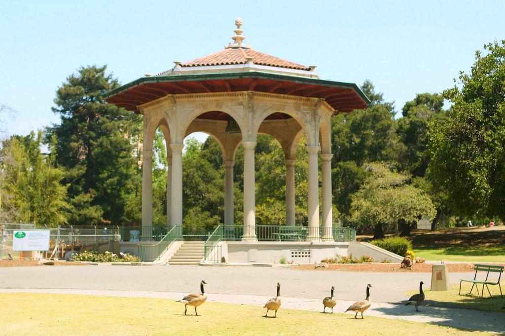 Pavillion