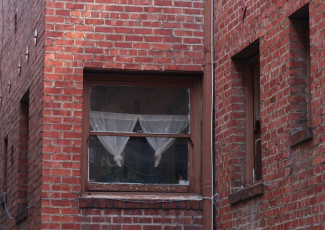 Alice St. alley