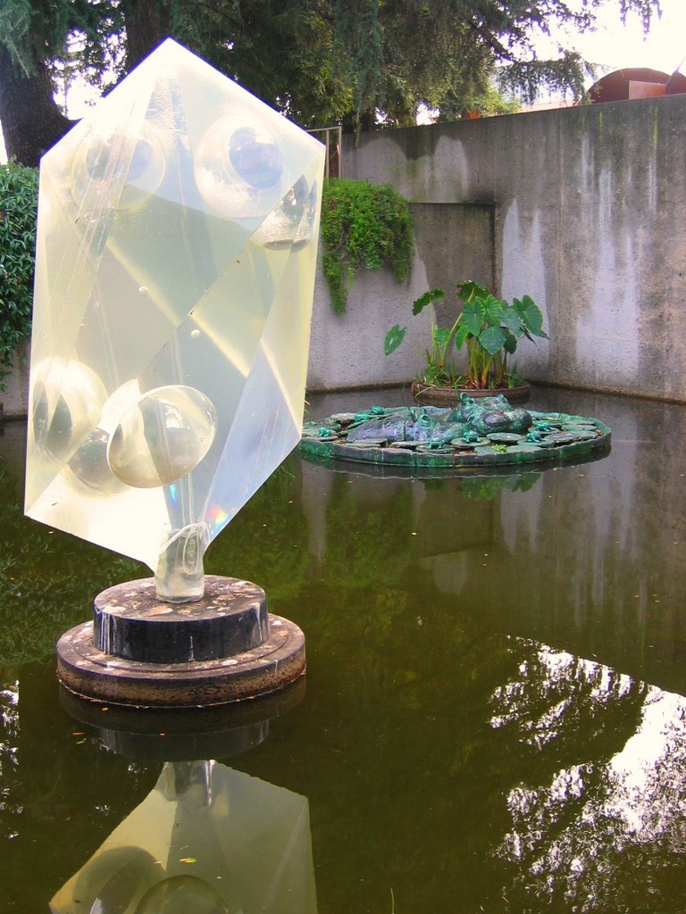 Koi Pond at Oakland Museum of California