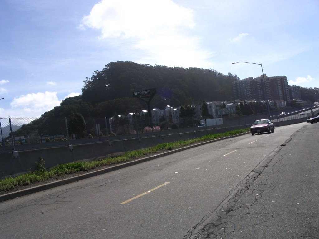 Albany hill from the freeway