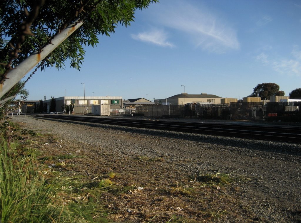 Berkeley Tracks