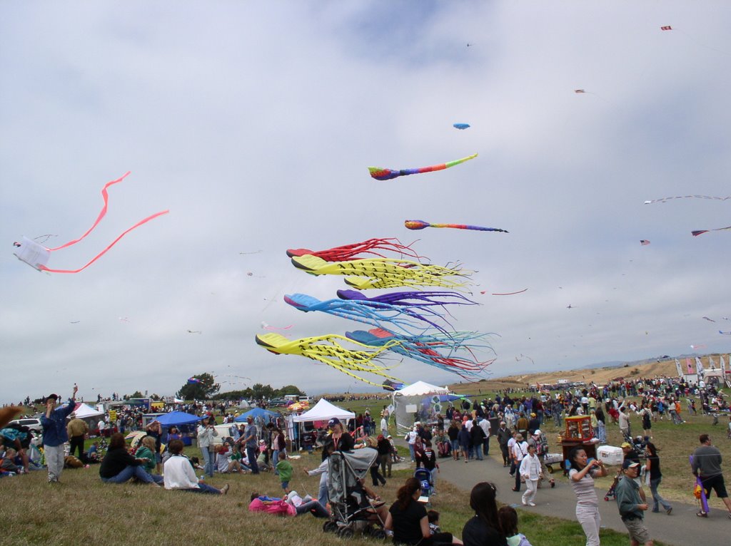 Kite Fair