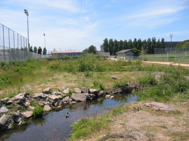 Cordonices Creek, Phase 1, 2006