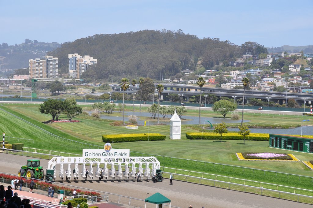 Golden Gate Fields