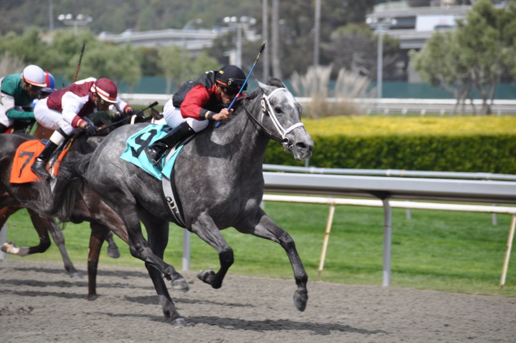 Golden Gate Fields