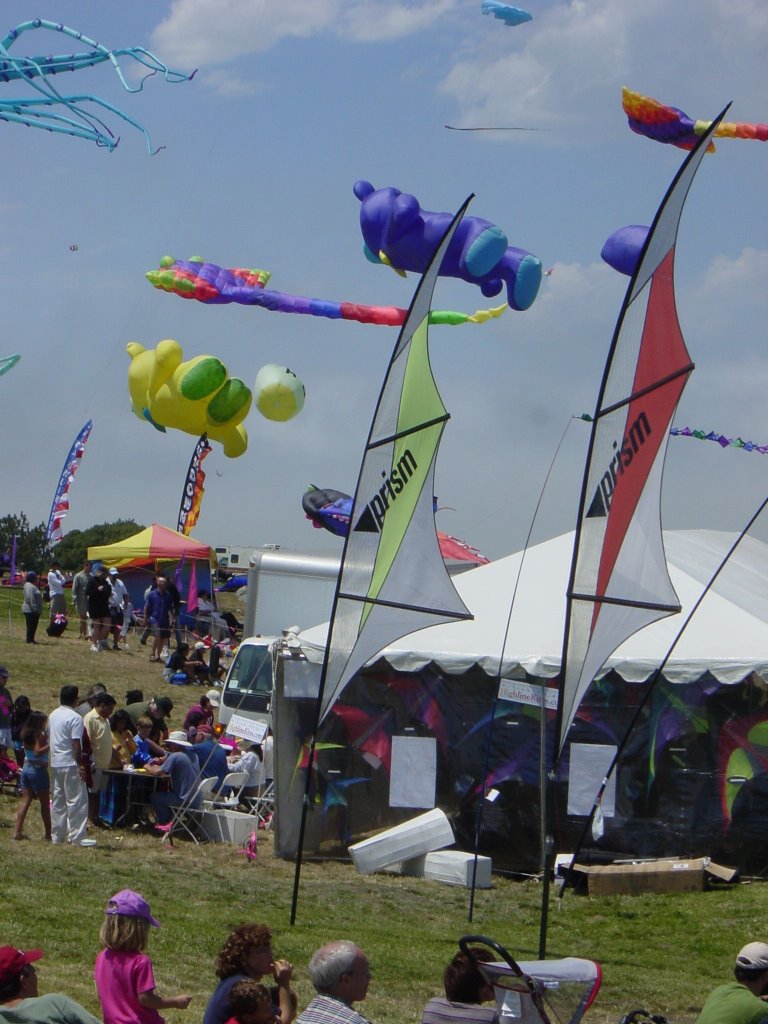 Kite Festival