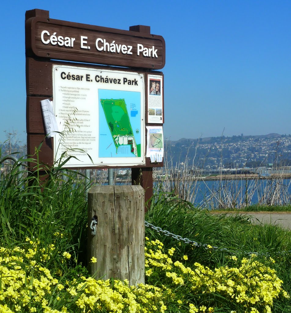 Cesar Chavez Park was formerly the Berkeley city dump