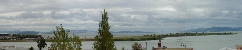 Albany Panorama