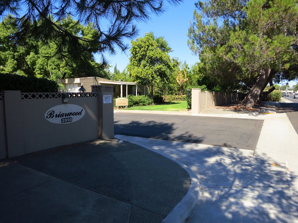 Entrance to Briarwood