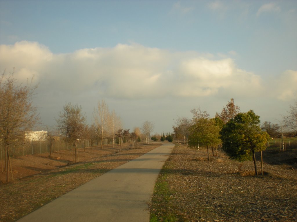 Reedley Trail (going south)