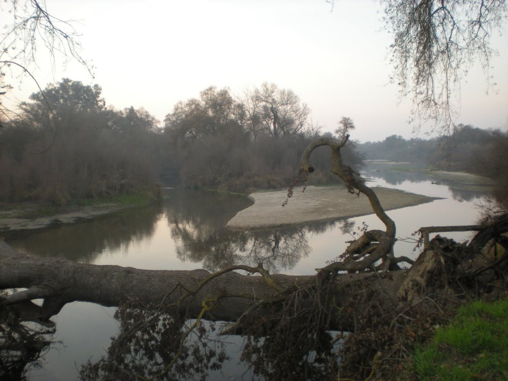 Kings River Trail (Jan 08, Behind College)