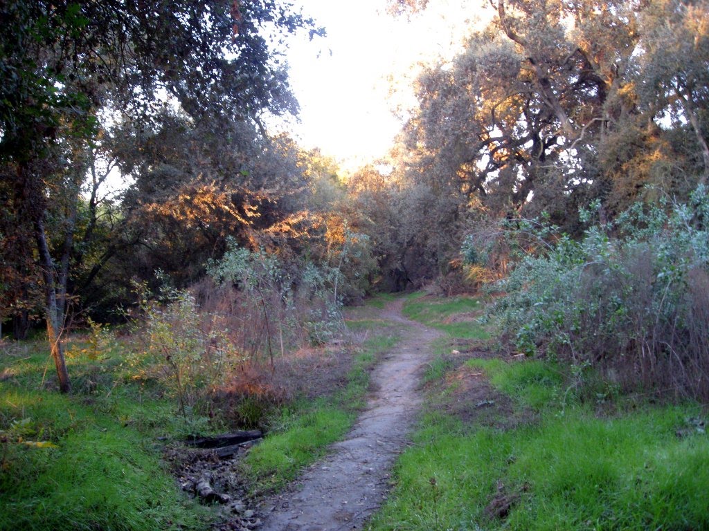 Kings River Trail traveling North