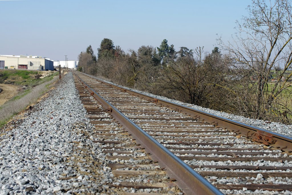 San Joaquin Valley Railroad Co tracks leading out of Reedley, just west of the Kings River, 1/2013