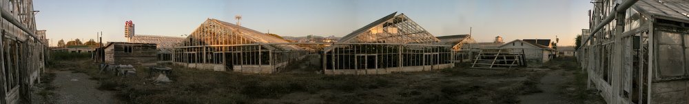 Saki Greenhouses Panorama