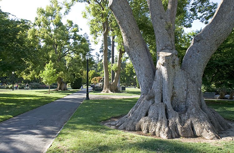 Capitol Park