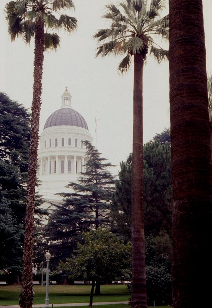 State Capitol Building - Sacramento, CA (suz)