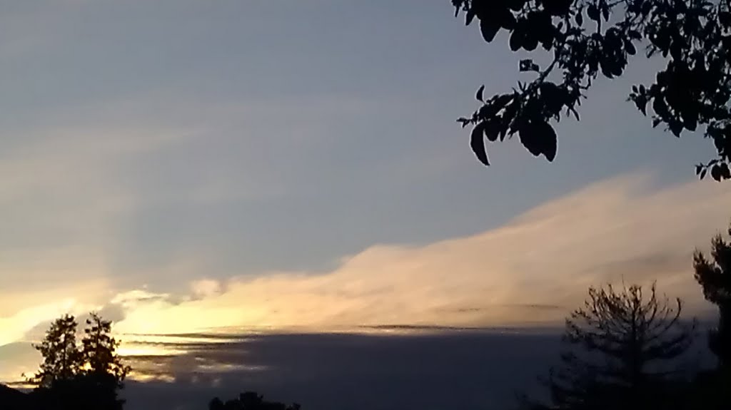From my balcony