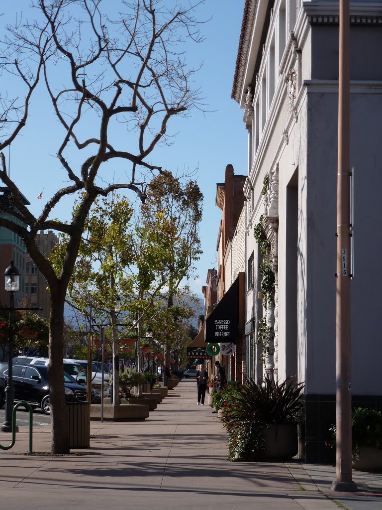 Salinas Downtown