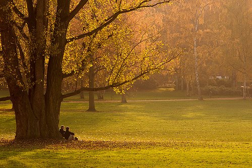Park_Philipp Klinger