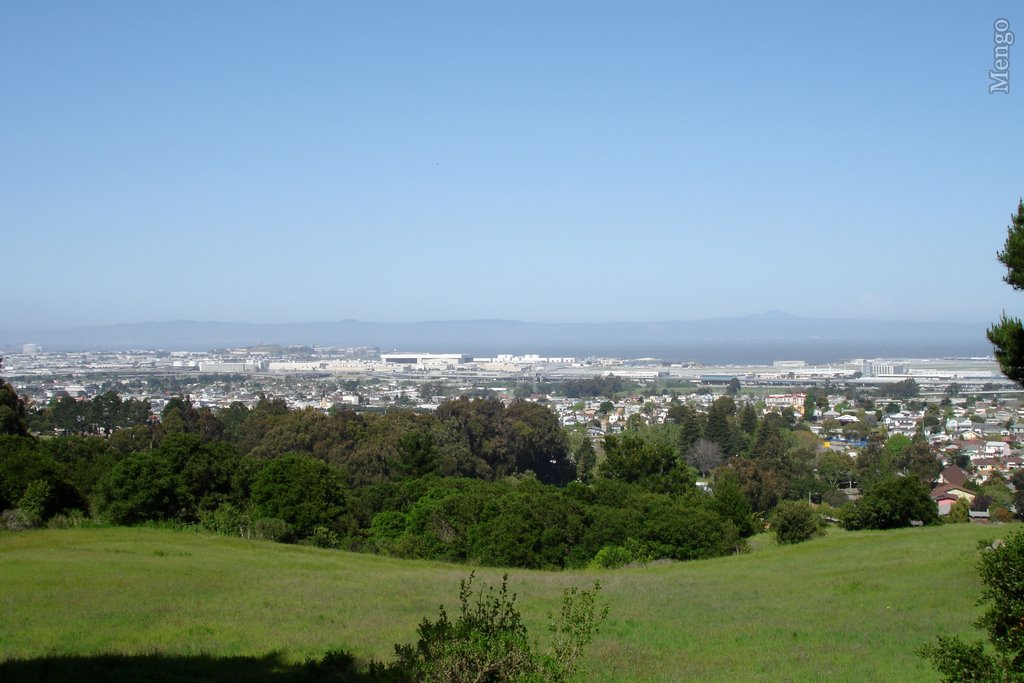 View from San Bruno Park