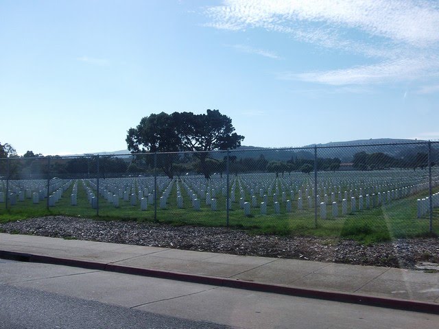 Golden Gate National Cemetery, San Bruno, CA