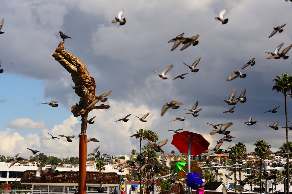 Enjoy San Diego. Enjoy Freedom Godetevi San Diego. Godetevi la Libertà