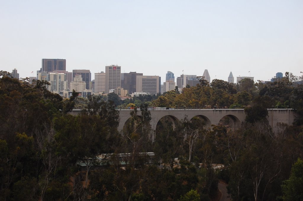 San Diego Skyline