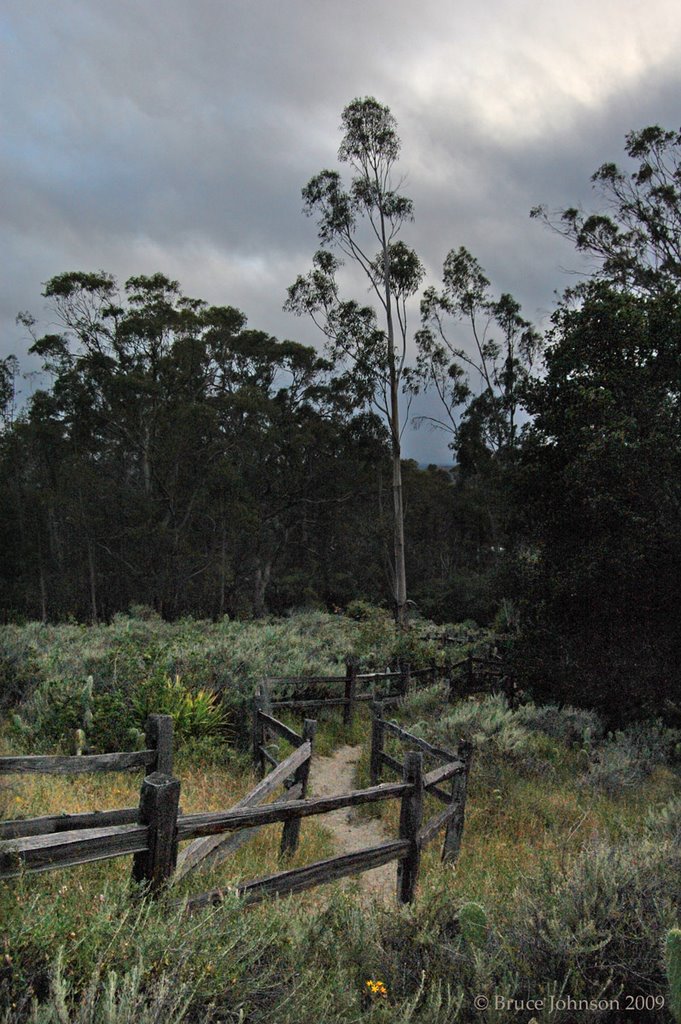 Split-rail trail