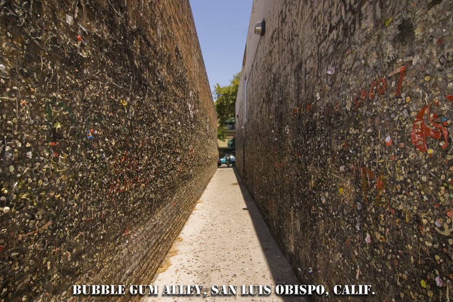 The Famous Bubble Gum Alley