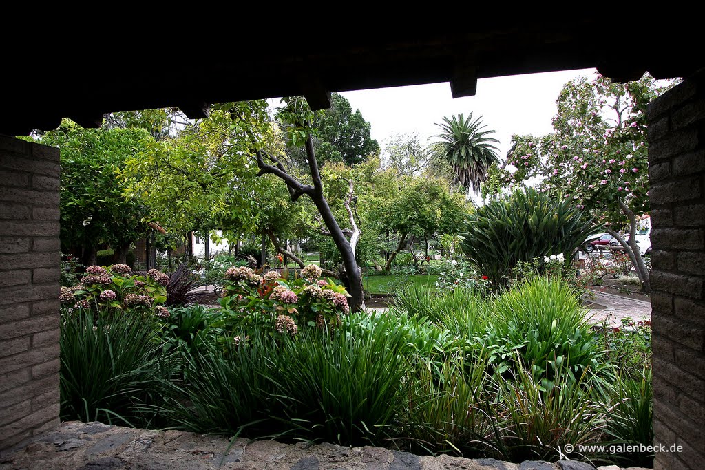 Mission Garden