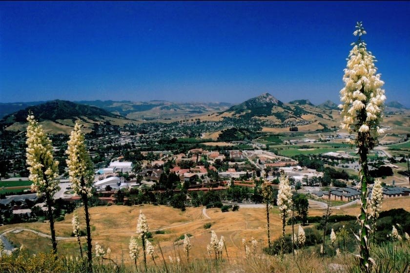 Cal Poly-SLO from P Mountain
