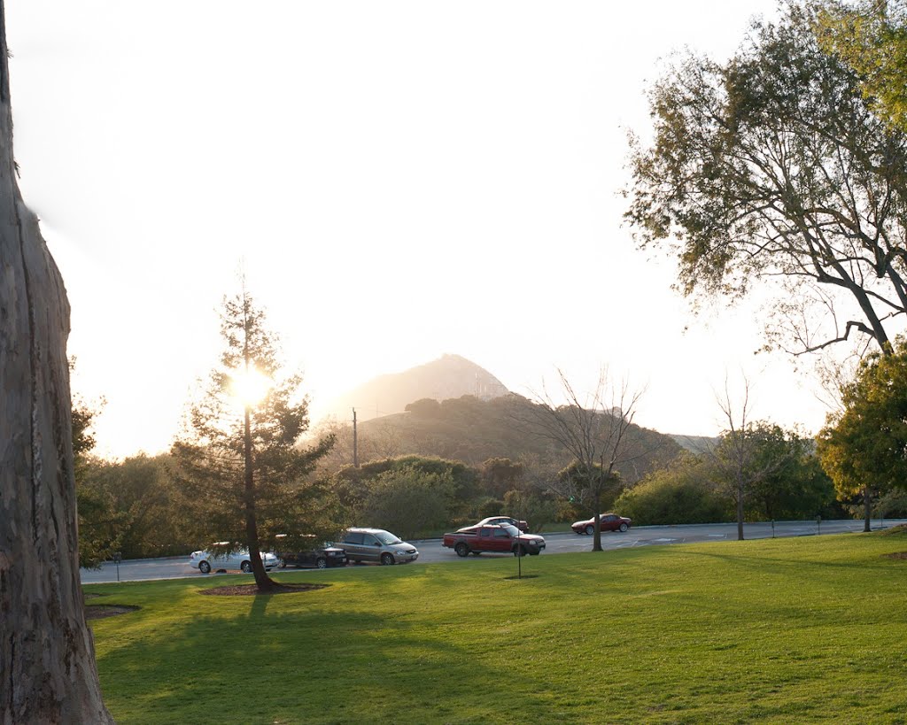 Looking towards San Luis Obispo - Bishop Peak Near Summit  - nwicon.com