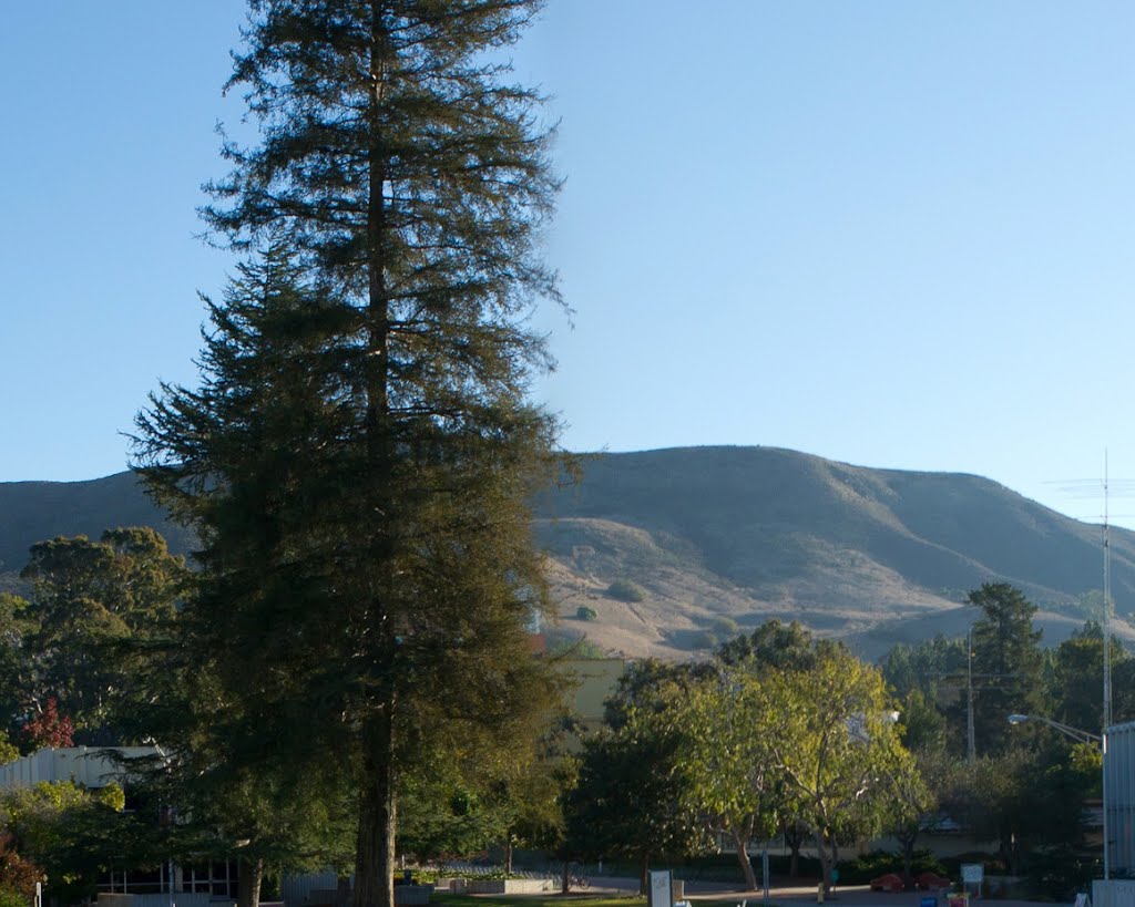 Looking towards Cal Poly - Overlook - 90 - nwicon.com