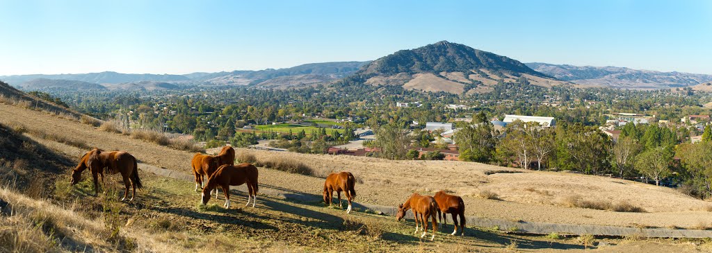 Cal Poly - Mustangs and Mt Madonna - 64 - nwicon.com