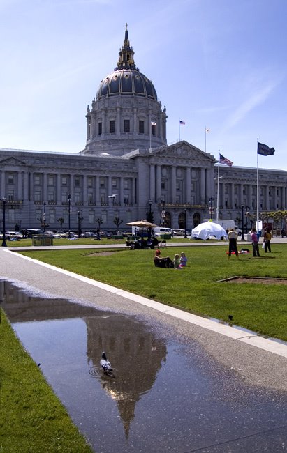 City Hall Reflection