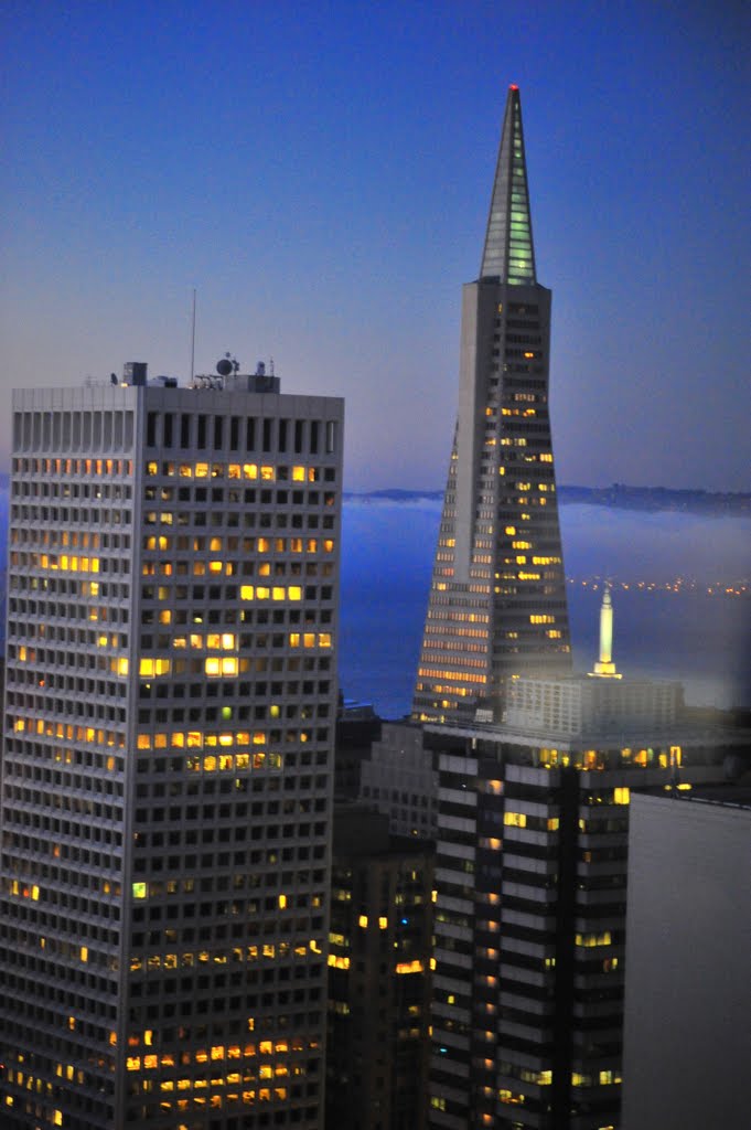 Transamerica Pyramid night view, San Francisco