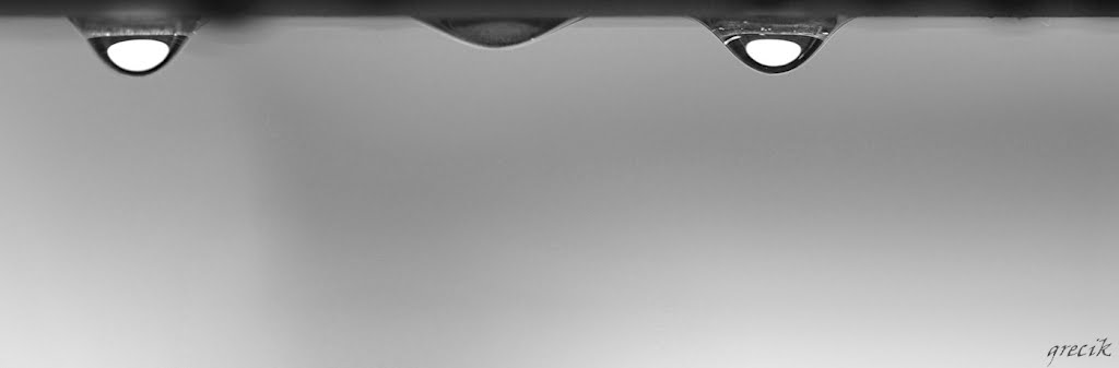 0033. Gocce di pioggia   #   Raindrops   #   Krople deszczu