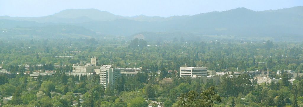 Santa Rosa