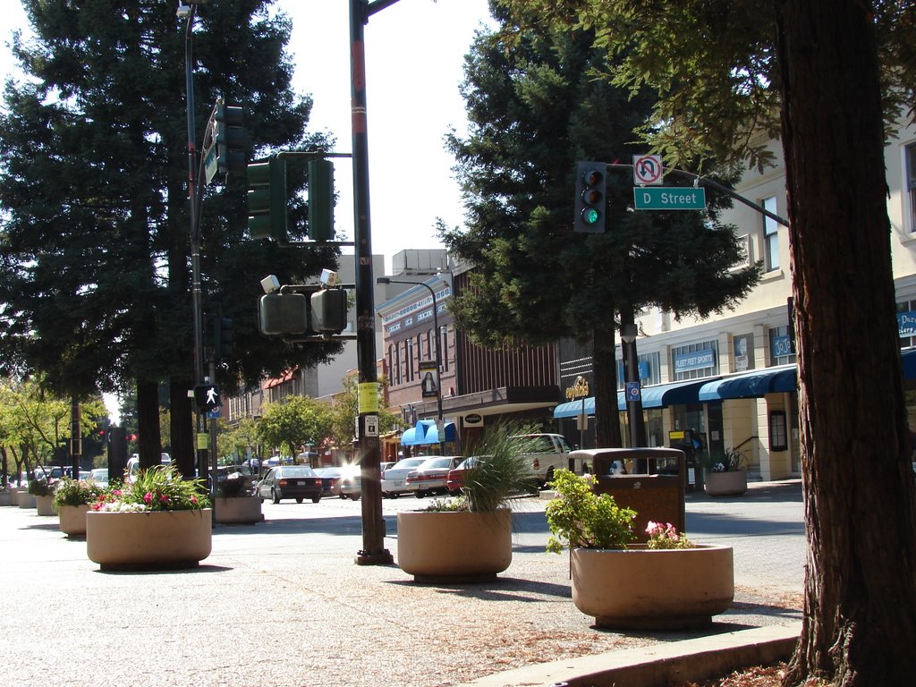 Santa Rosa, California