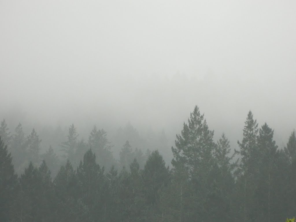Santa Rosa, CA