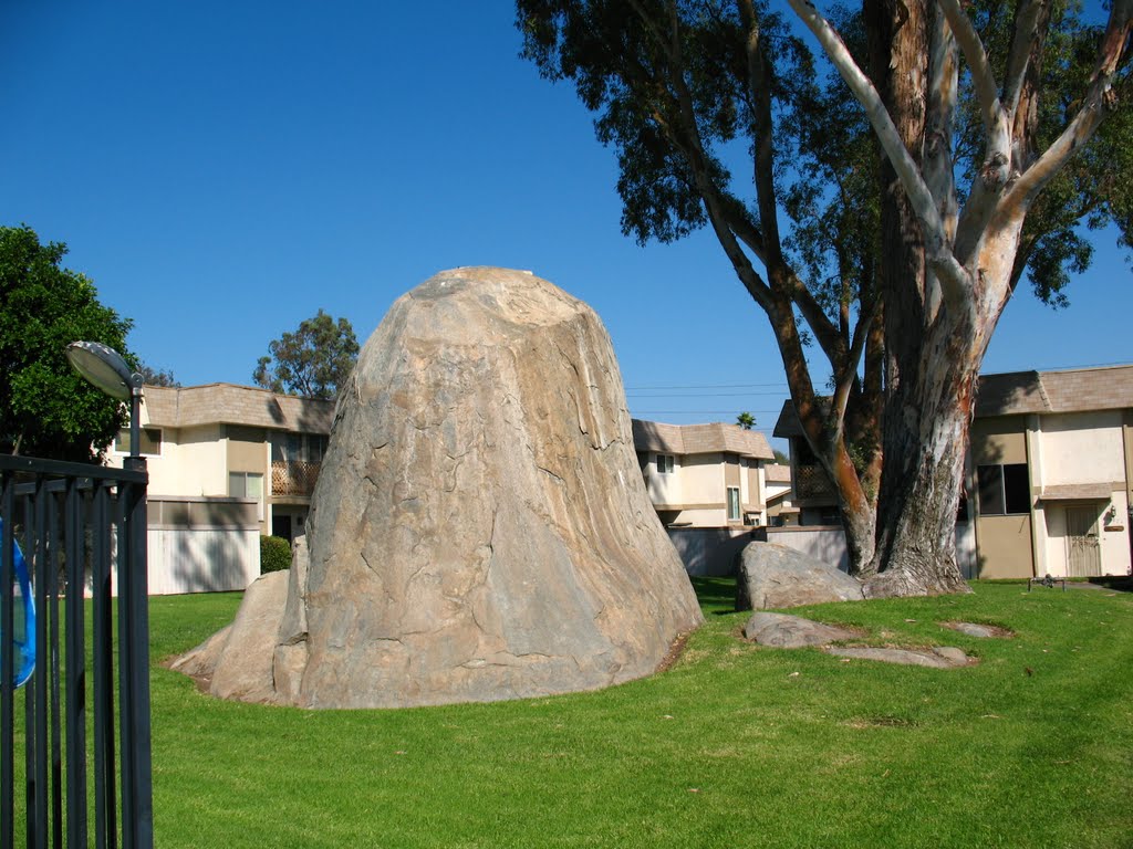Unusual Boulder in the middle of SANTANA RANCH CONDOS