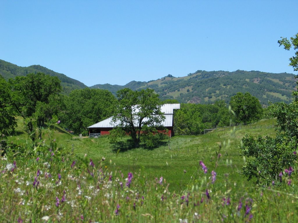 Blue Lakes Farm CA