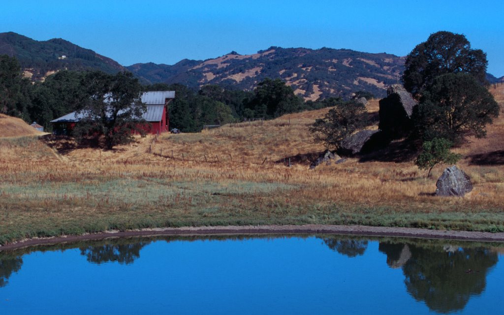 farm in northern California