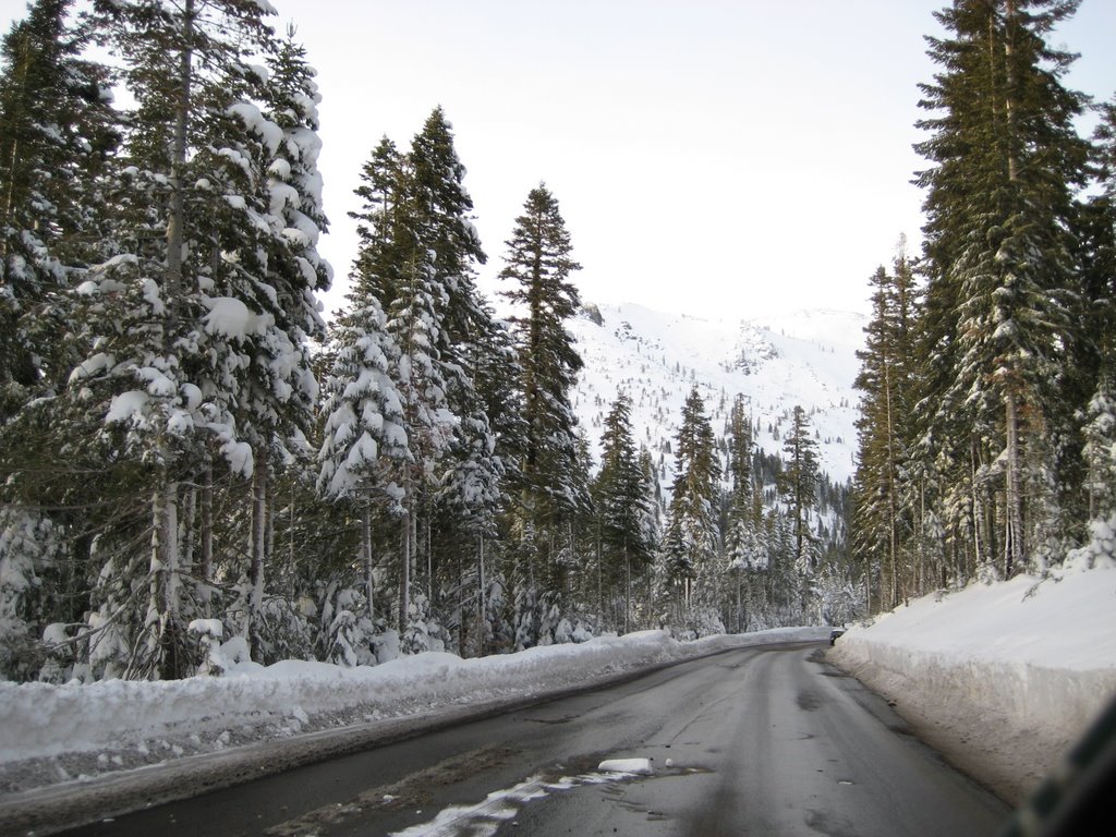 Lake Tahoe