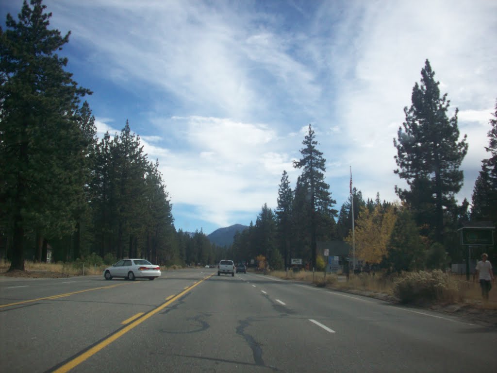 Driving back to Sacramento