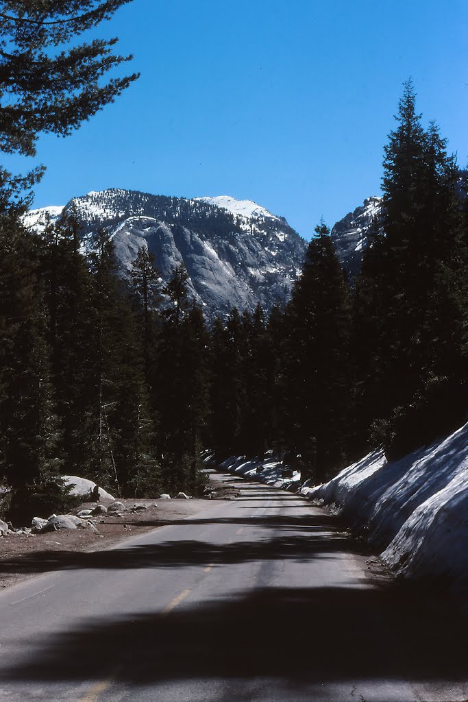 View on the road to lake Tahoe