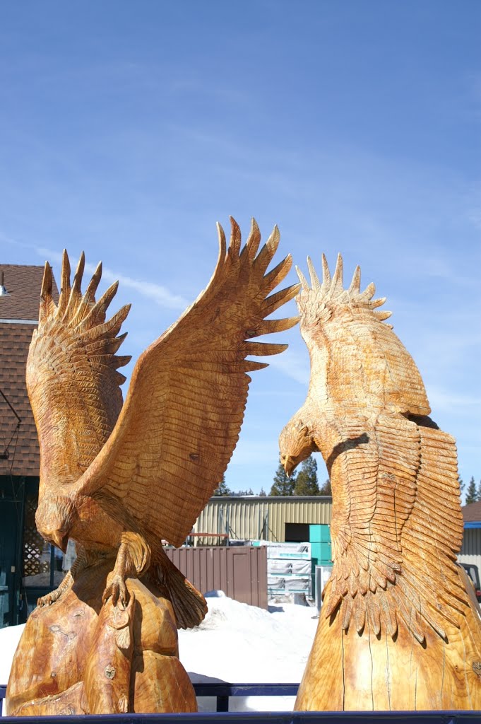Eagle Carvings, Lake Tahoe, 2007
