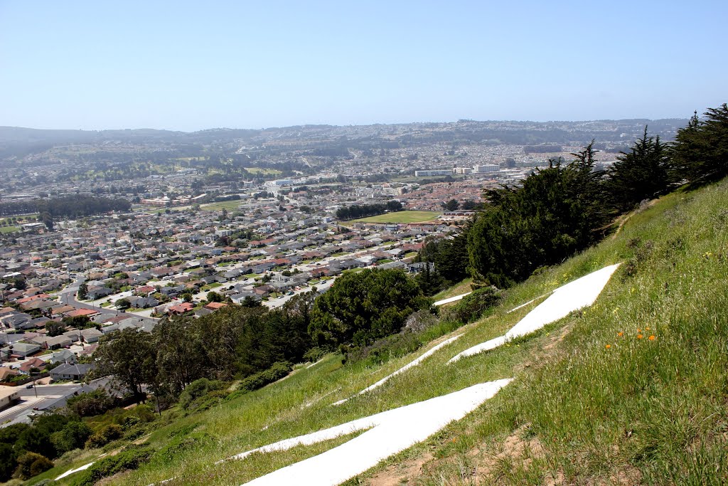 Above the SSF Letters