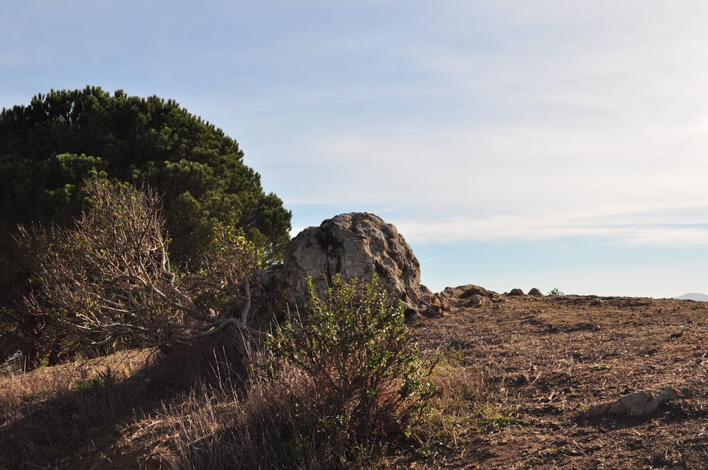 Sign Hill,South San Francisco