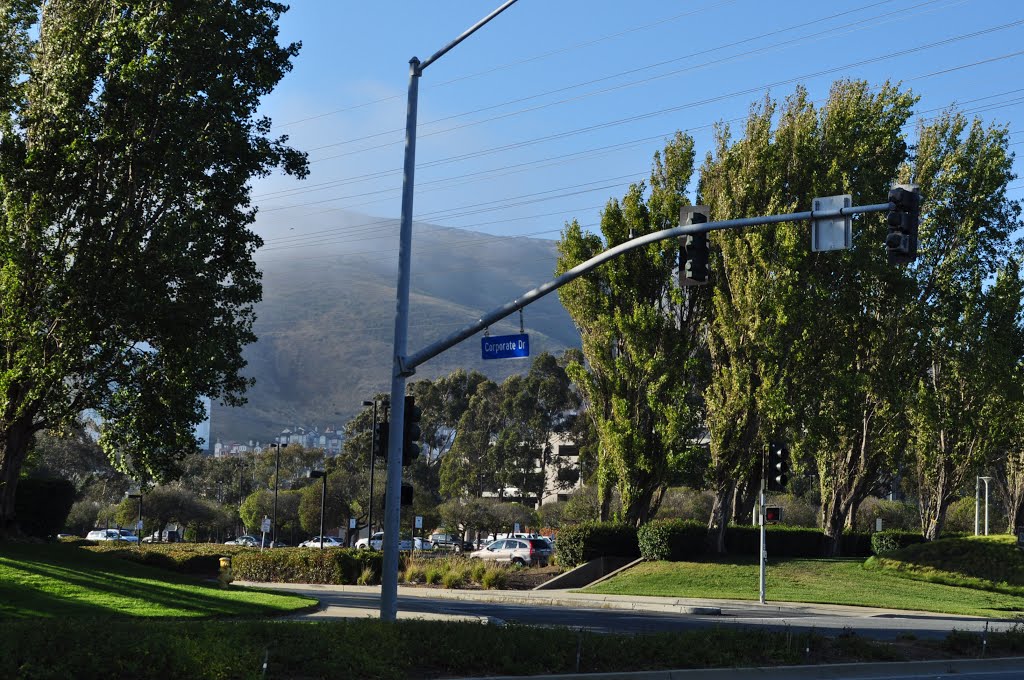 Corporate Dr.South San Francisco